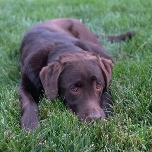 Meet your Posher, Lynn